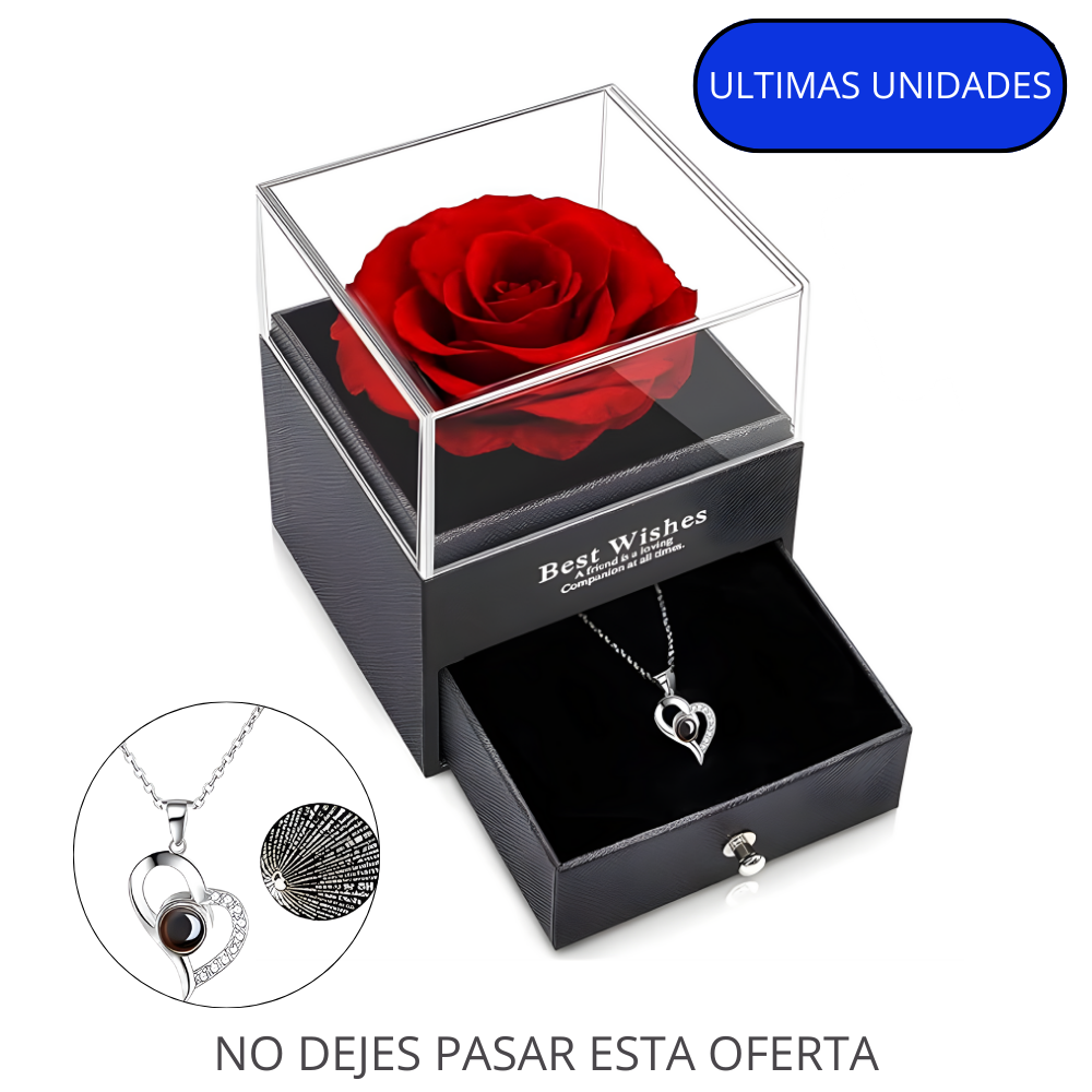Rosa Eterna En Joyero y Collar ''TE AMO''
